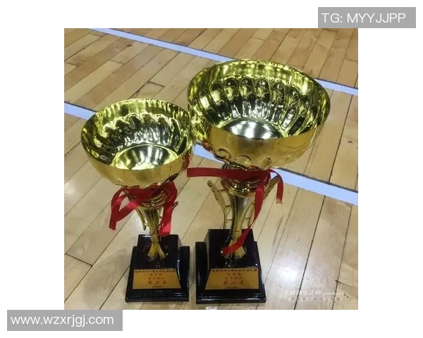 西安羽毛球队与广州羽毛球队耐力较量赛后深度分析与反思